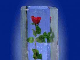 Rose Pillar Ice Sculpture